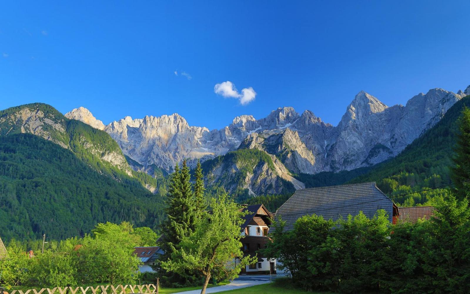 Apartments In Villa Flora Kranjska Gora Eksteriør bilde